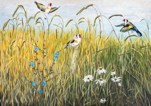 Sommerwiese von Frank Meier